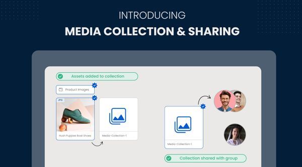 Introducing ImageKit's Media Collection and Sharing
