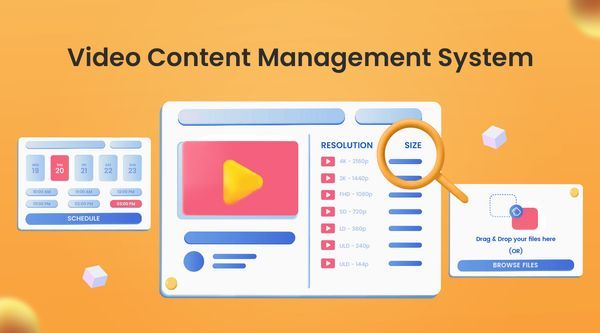 Video Content Management System: What Is It And How To Choose One?