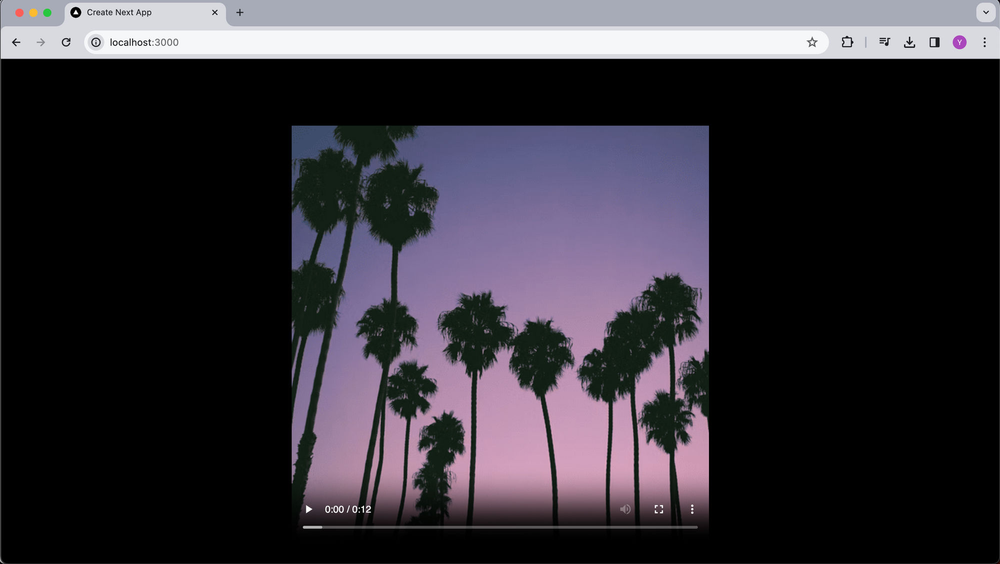 Adding video player in Next.js