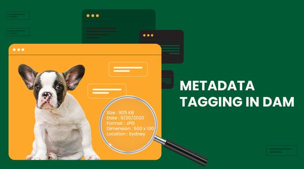 Metadata tagging in DAM for better organization and search