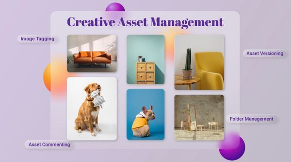 The Art of Creative Asset Management