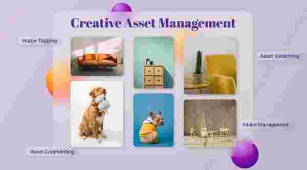 The Art of Creative Asset Management
