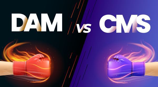 DAM Vs. CMS: Decoding the significant differences and ideal use cases
