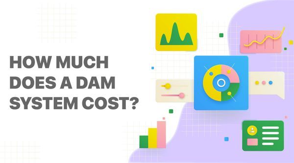 How much does a Digital Asset Management System cost?