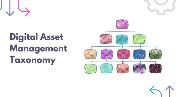 How Digital Asset Management taxonomy helps bring order to chaos