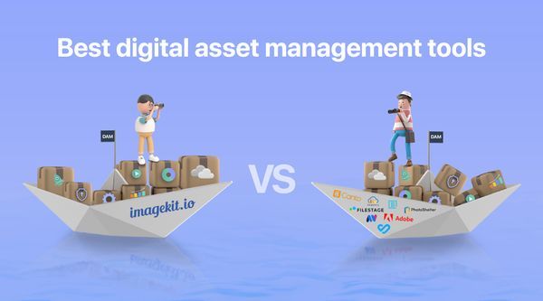 Comparing 11 Top Digital Asset Management Tools in the Market