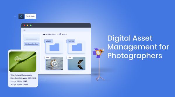 Digital Asset Management for Photographers: A Complete Guide