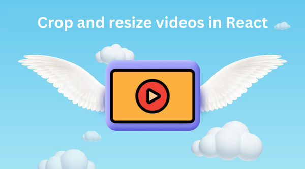 Crop and resize videos in React