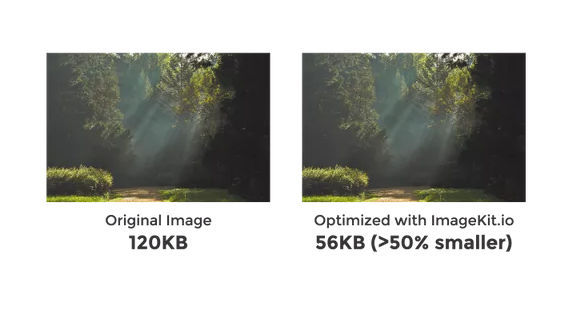 optimize images on wordpress website